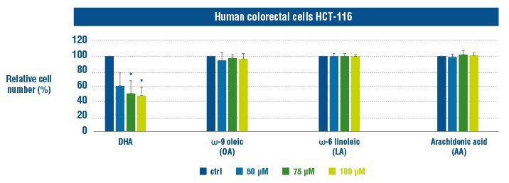 human colorectal cells