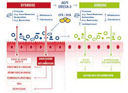 DHA intake and gut microbiota