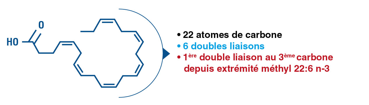 Structure DHA (Acide docosahéxaénoïque)