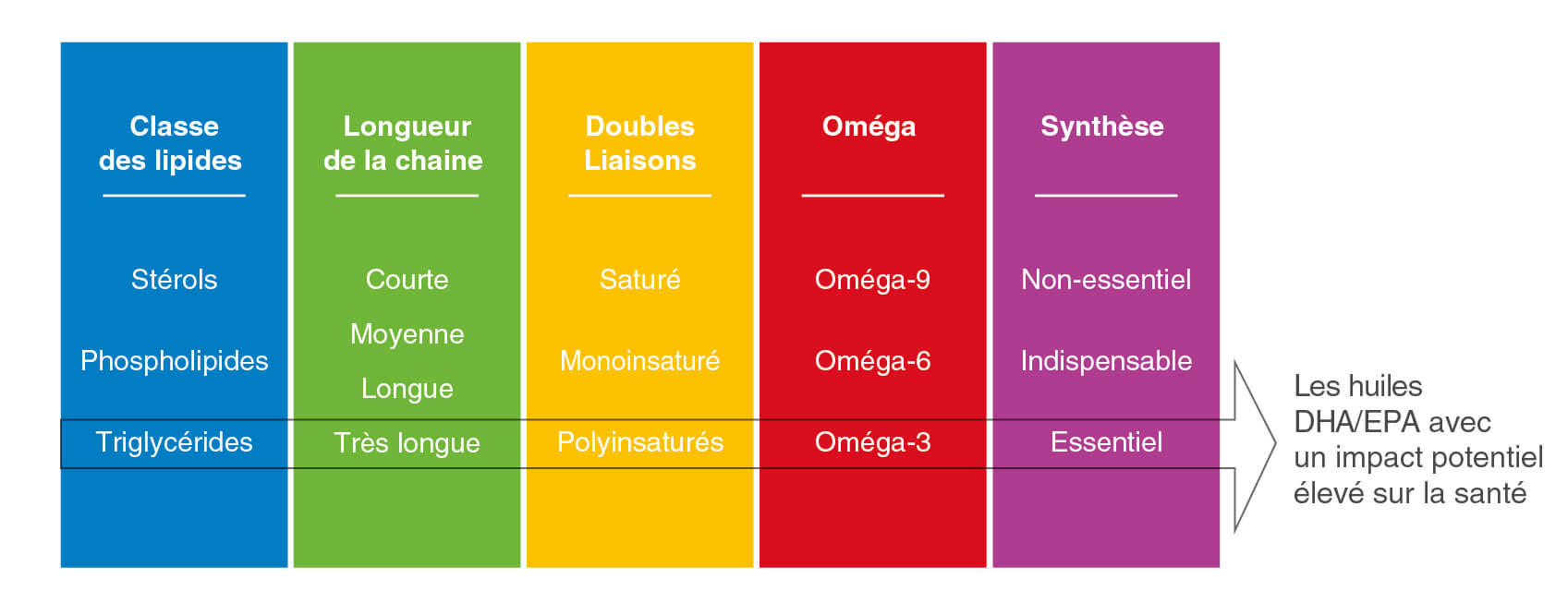 Classification des lipides