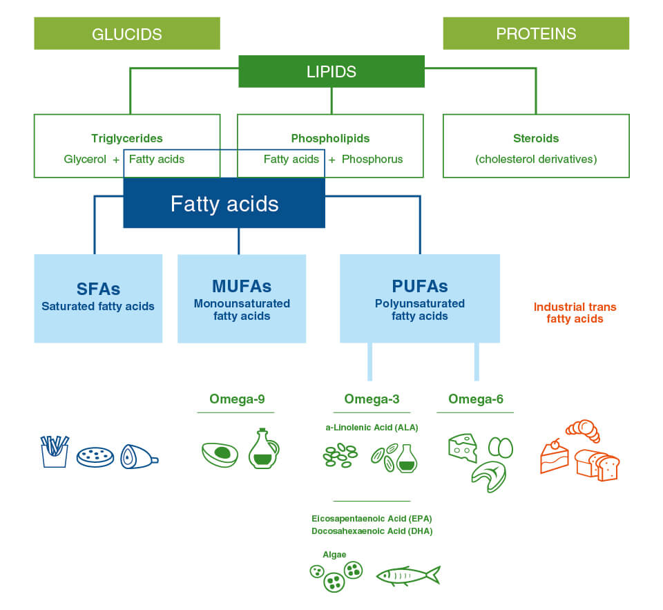 SOURCE OF OMEGA-3